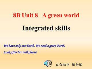Integrated skills
