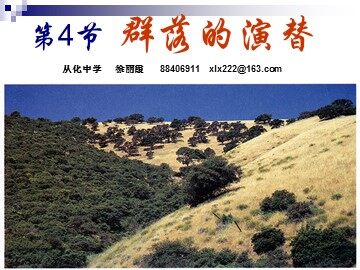 生物高中必修3第四章第四节课件2
