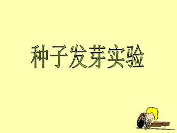 《种子发芽实验（二）》课件2