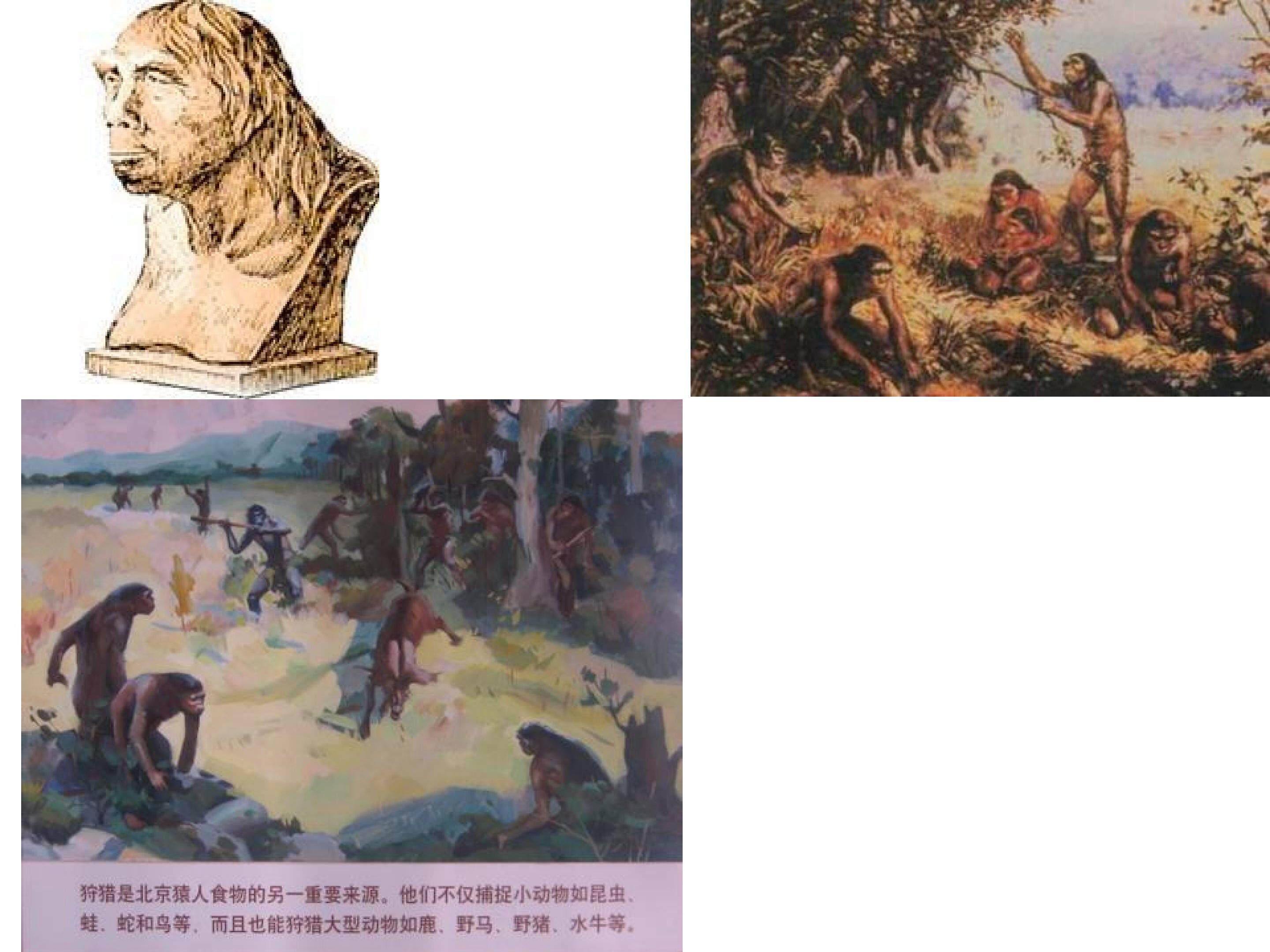 Unit5 The feast:18,000 BC