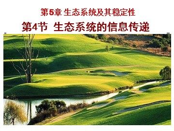 生物高中必修3第五章第四节课件4