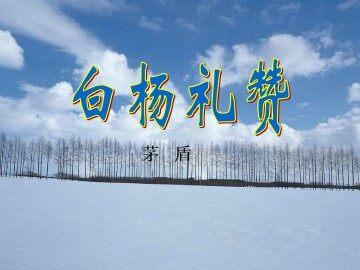 白杨礼赞_课件1