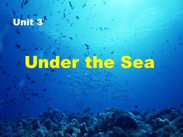 Unit 3 Under the sea