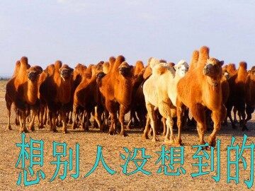 想别人没想到的_课件1