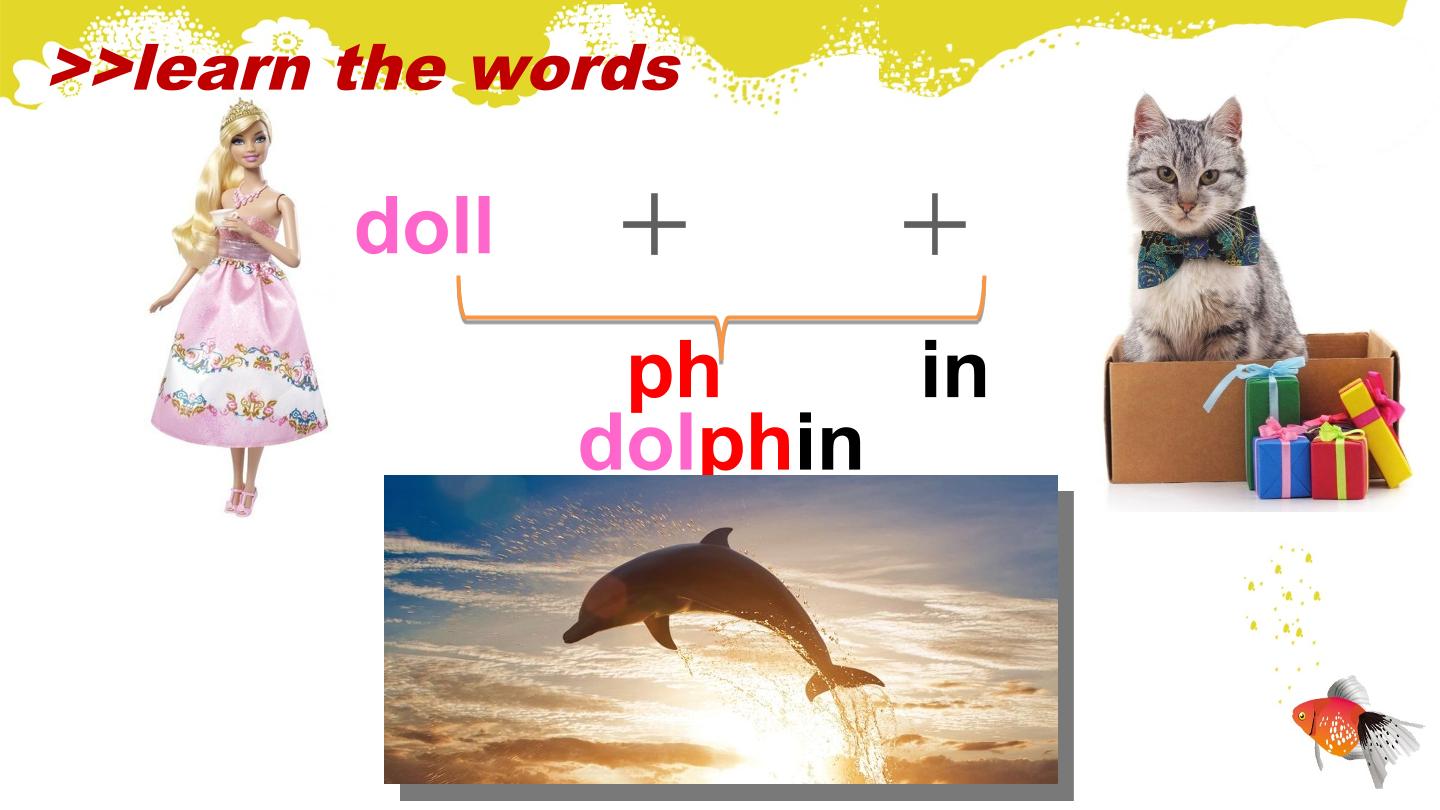 47.jpg