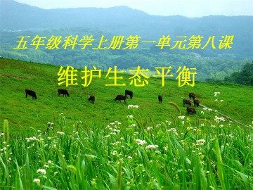 8.维护生态平衡