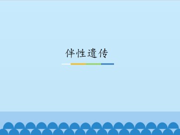 伴性遗传_课件1