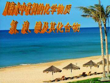 氯、溴、碘及其化合物_课件3