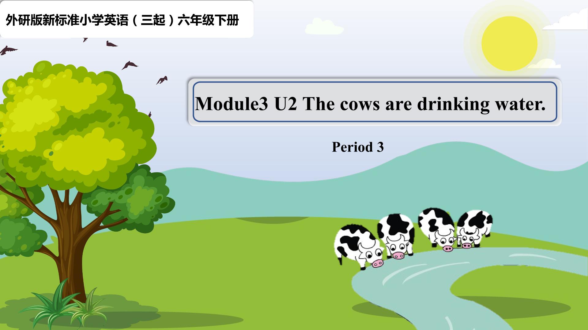 【茂名】M3 U2 The cows are drinking water