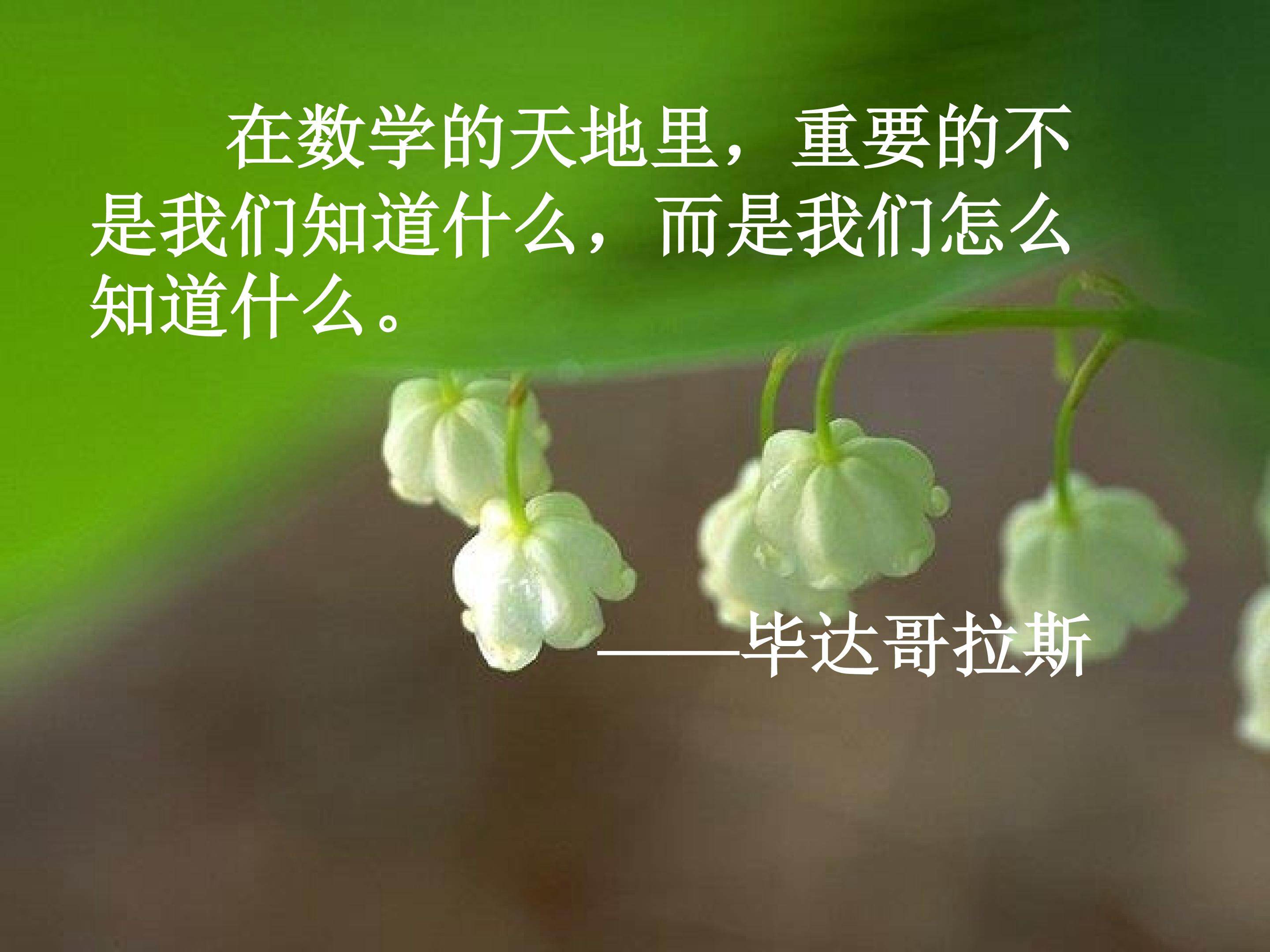 《18.1平行四边形》