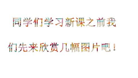 11 秋天的雨