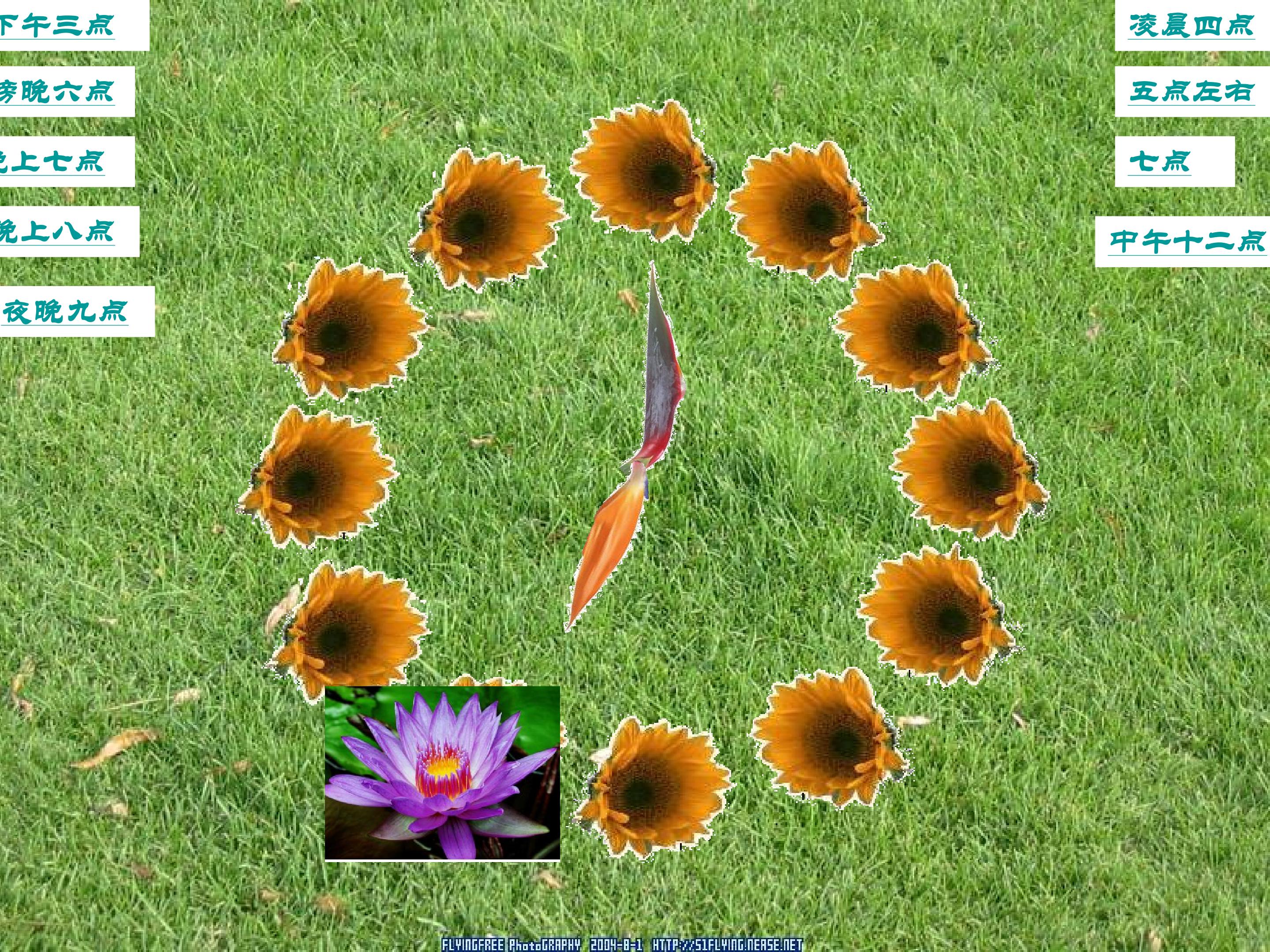 33.jpg
