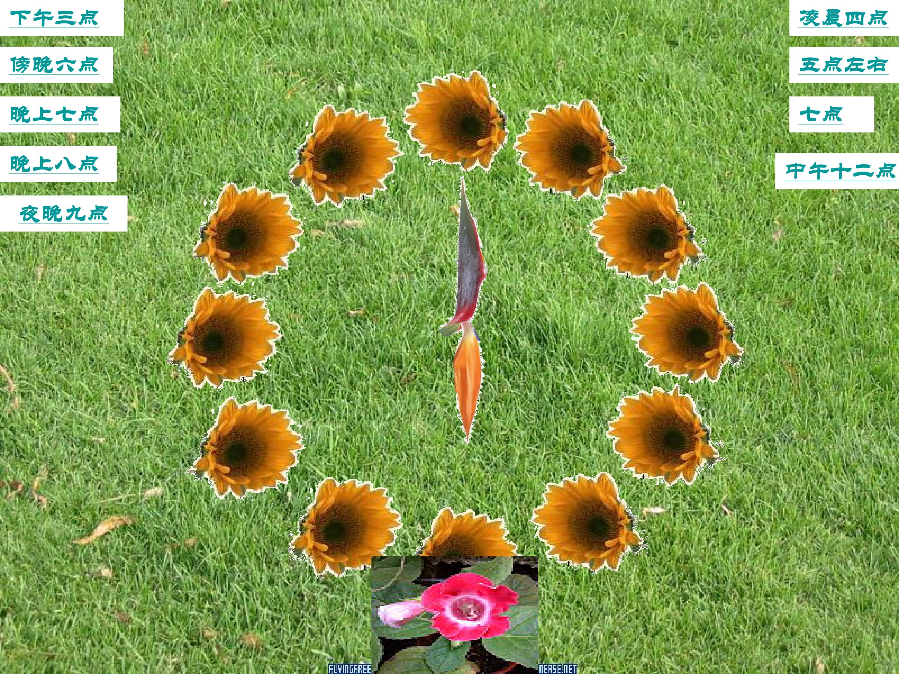 36.jpg