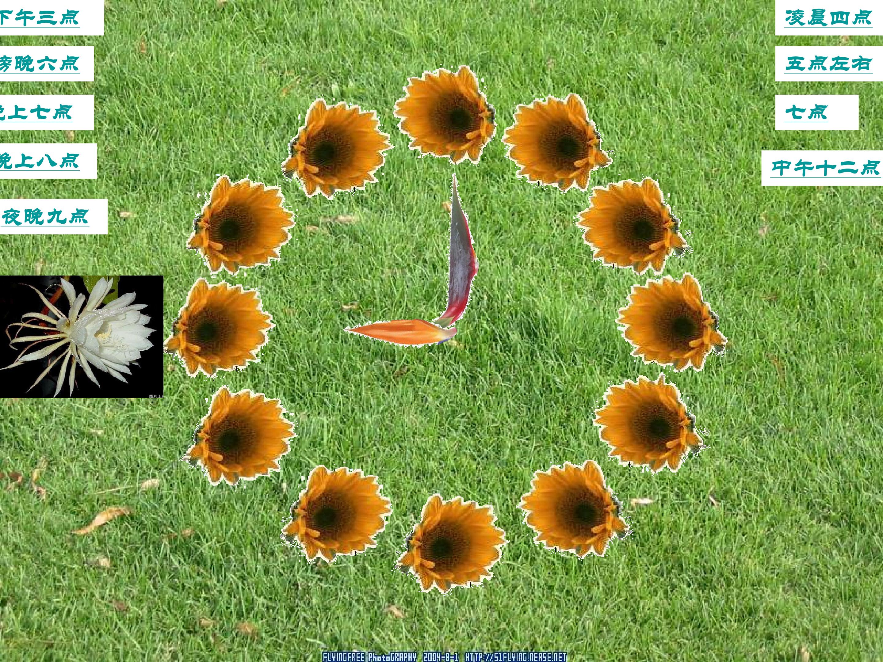 39.jpg