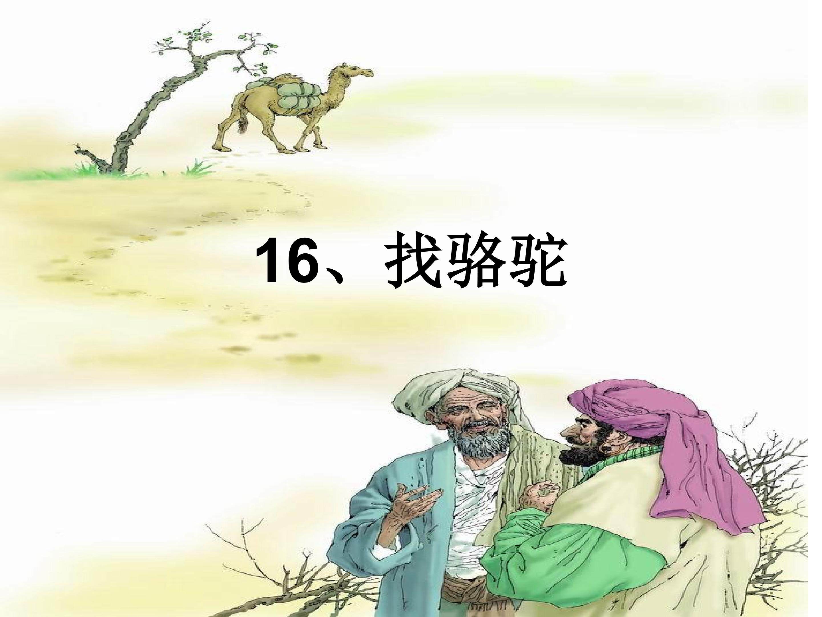 找骆驼