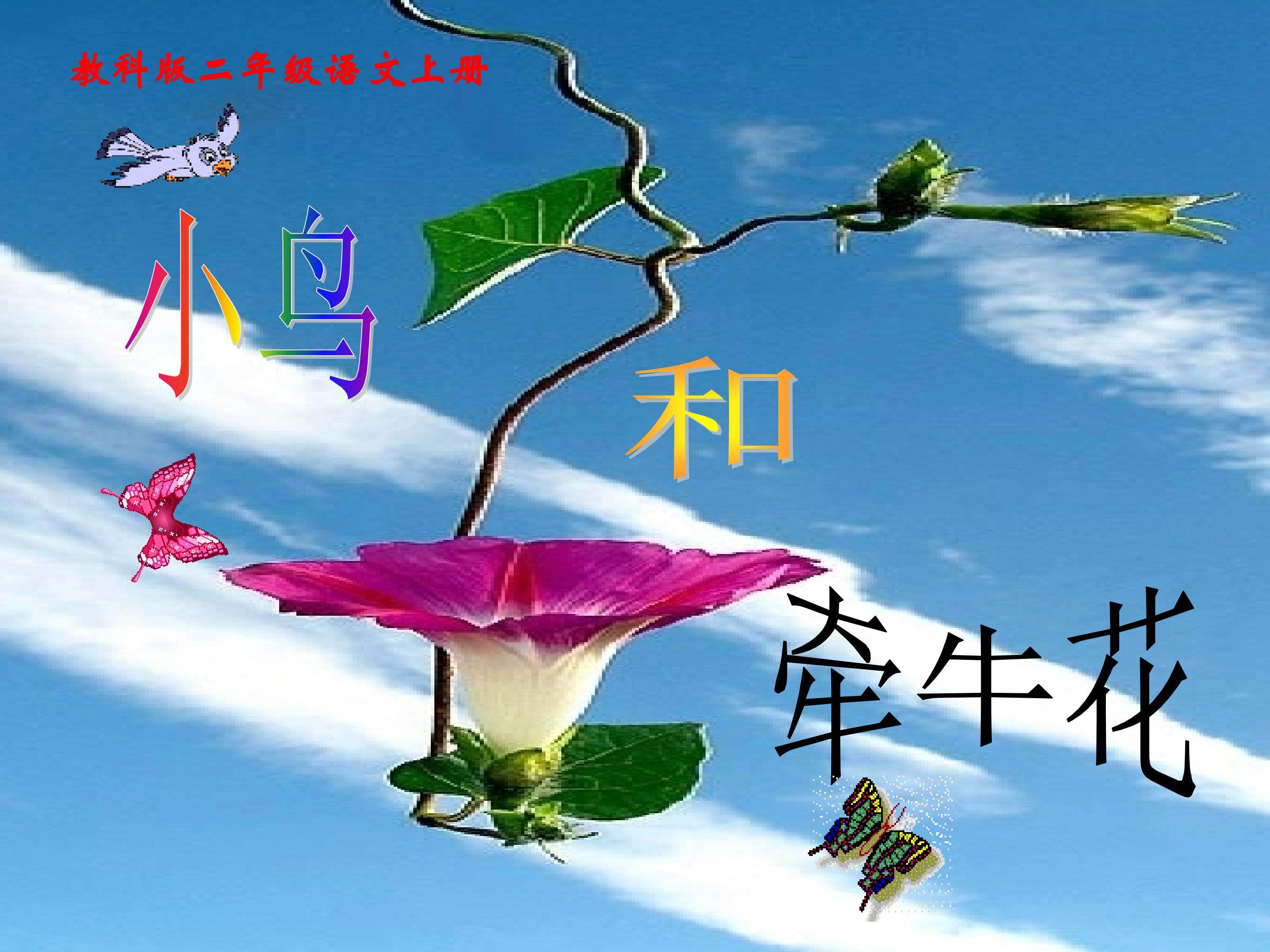 小鸟和牵牛花