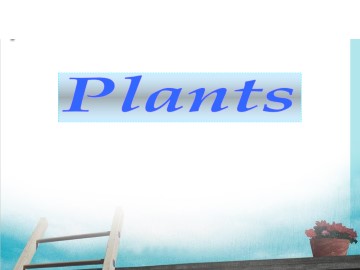 Plants_课件1