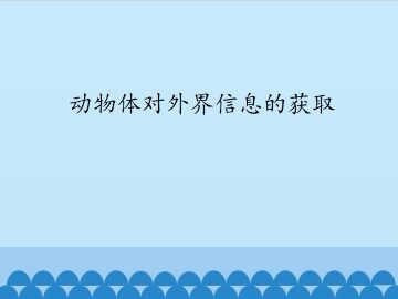 动物体对外界信息的获取_课件1