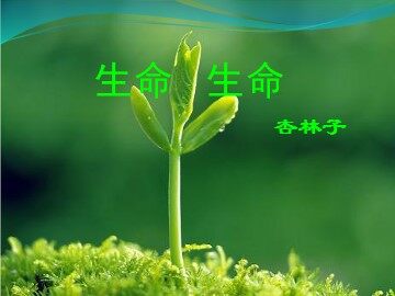 19 生命 生命
