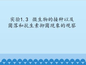 实验1.3  微生物的接种以及菌落和抗生素抑菌现象的观察_课件1