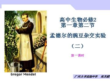 生物高中必修2第一章第二节第一课时课件2
