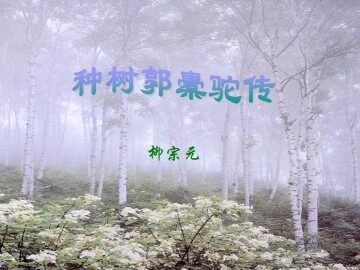 种树郭橐驼传_课件1
