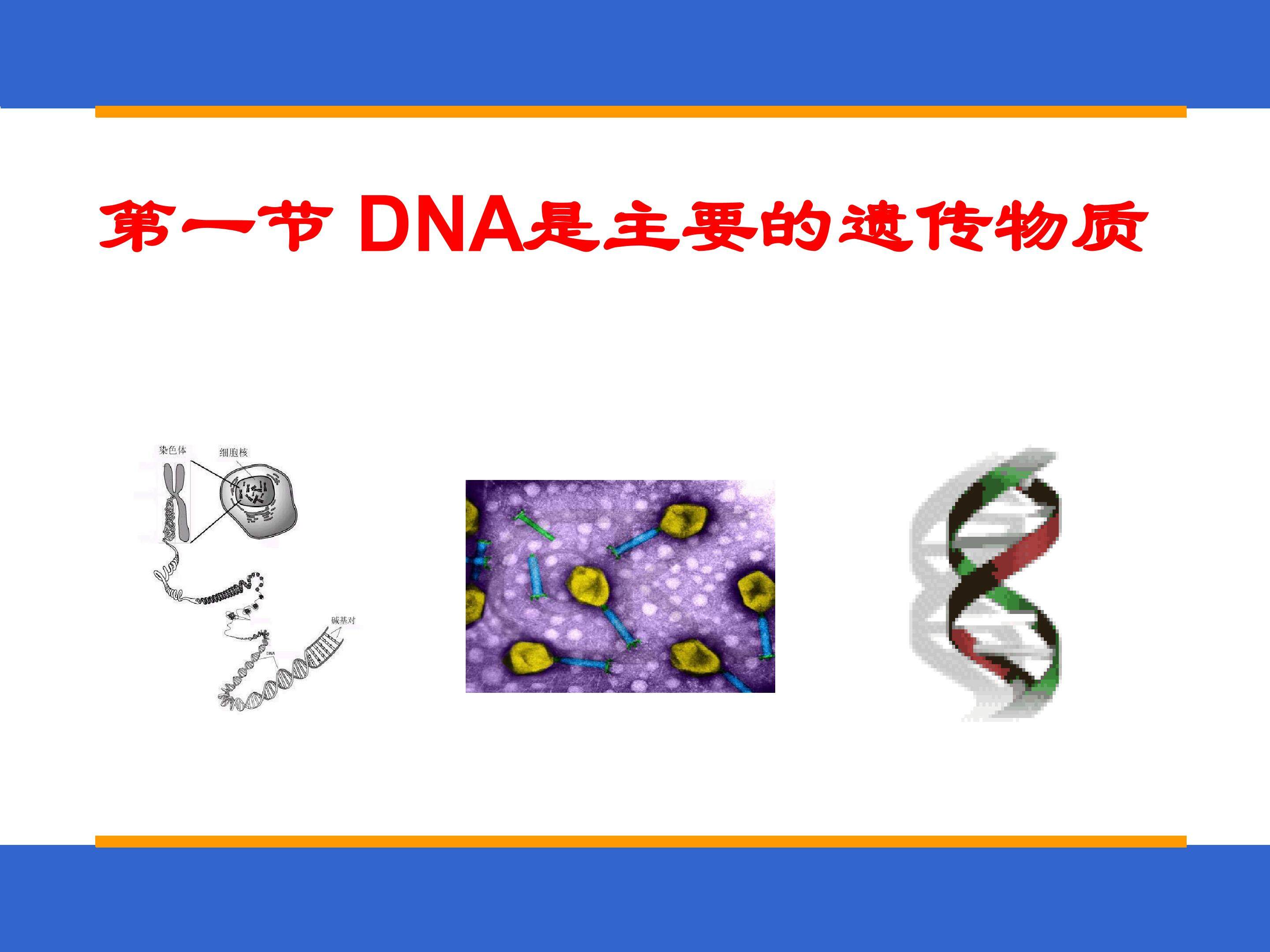 DNA是主要的遗传物质