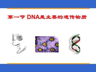 DNA是主要的遗传物质