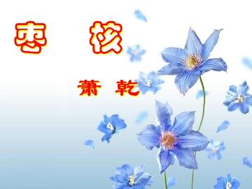 枣   核_课件1