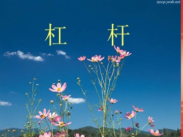 第1节 杠杆