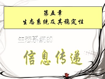 生物高中必修3第五章第四节课件2