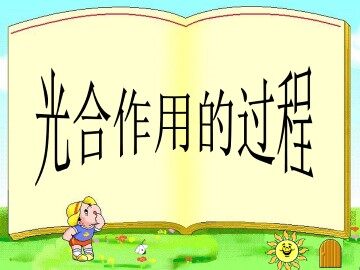 光合作用的过程_课件1