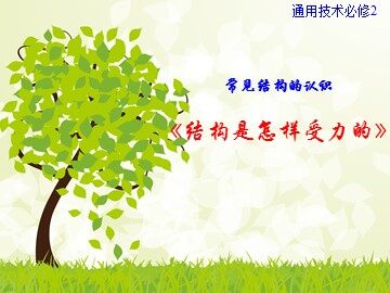 一  常见结构的认识