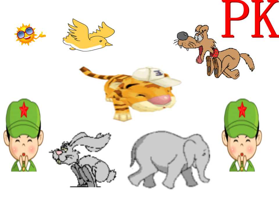 15.jpg