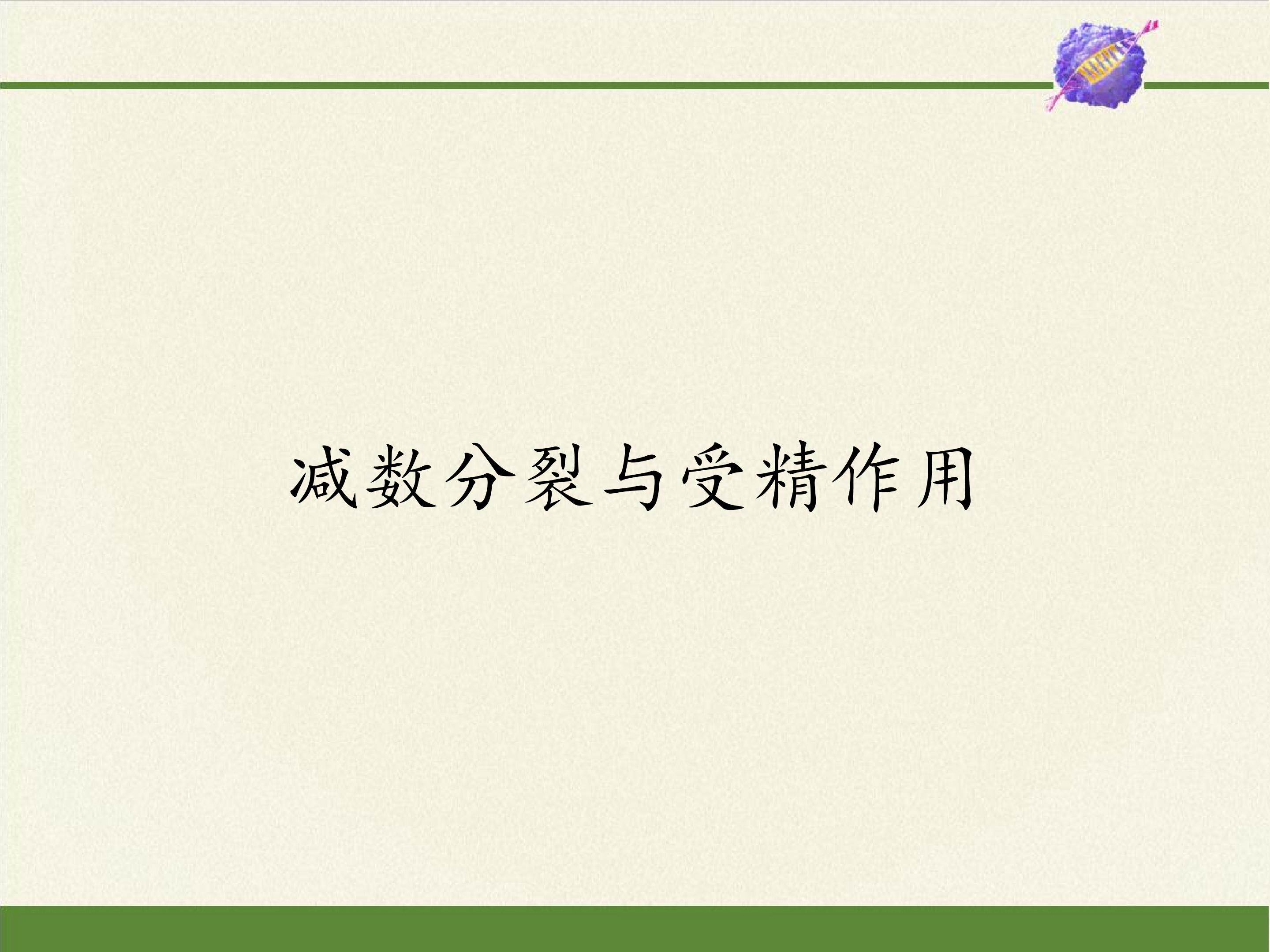 减数分裂和受精作用
