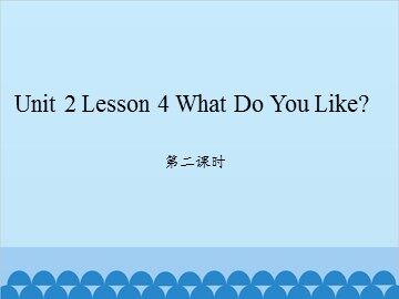 unit 2 Lesson 4 What Do You Like 第二课时_课件1