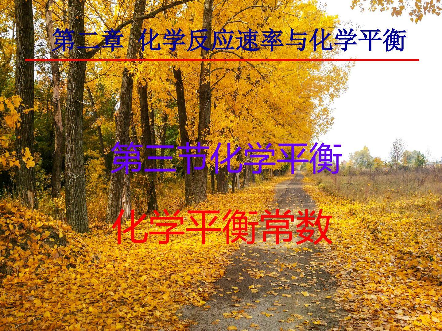 第三节 化学平衡