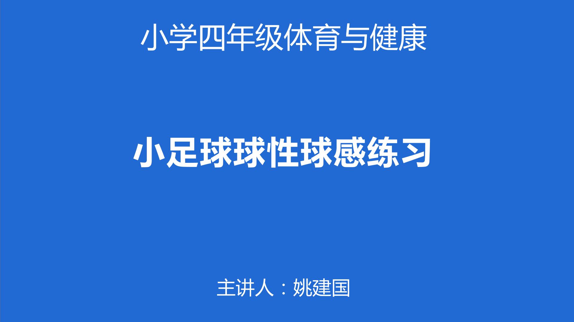 球类运动 小足球球性球感练习