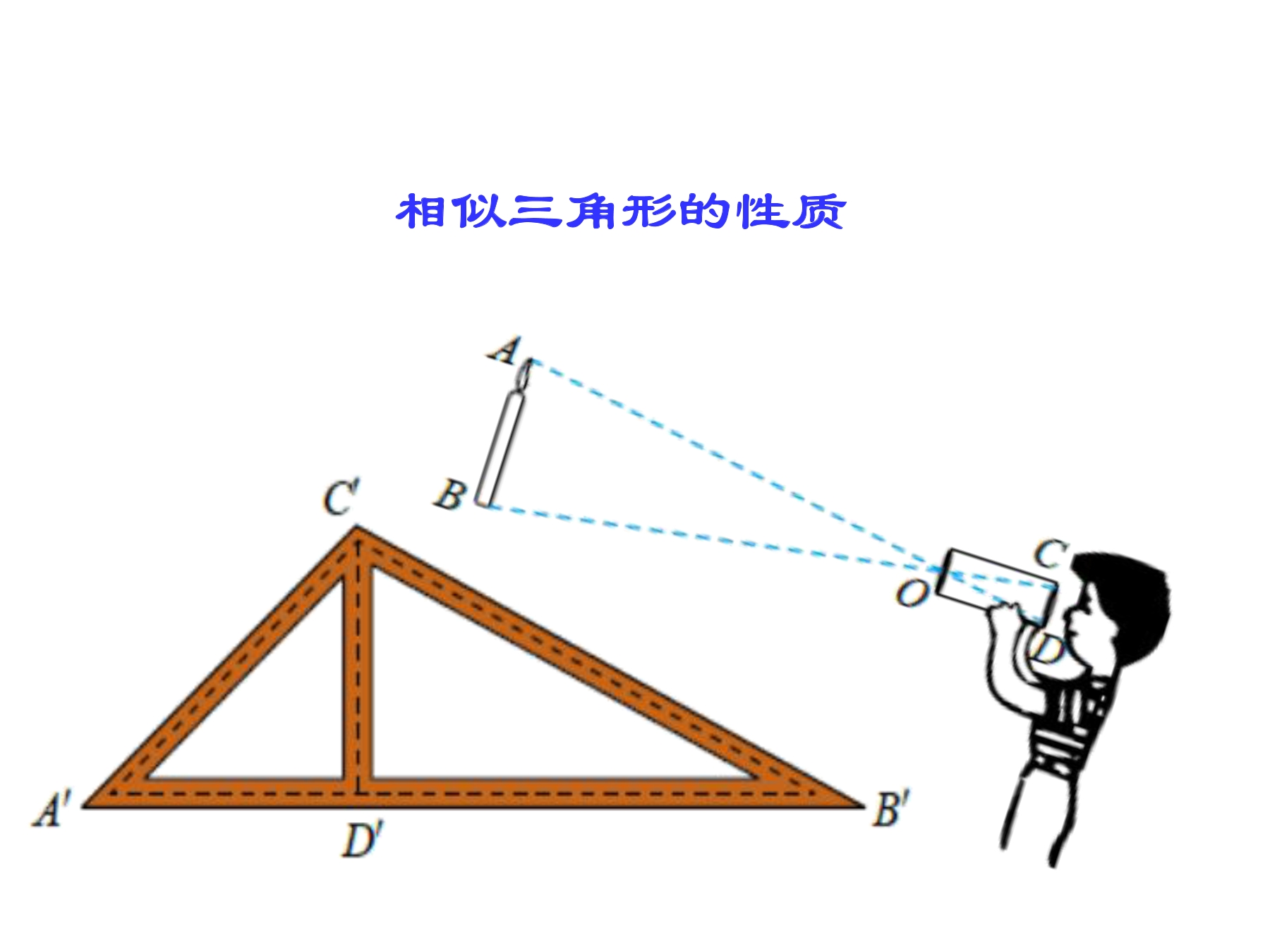 相似三角形的性质