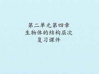 第二单元第四章 生物体的结构层次 复习课件