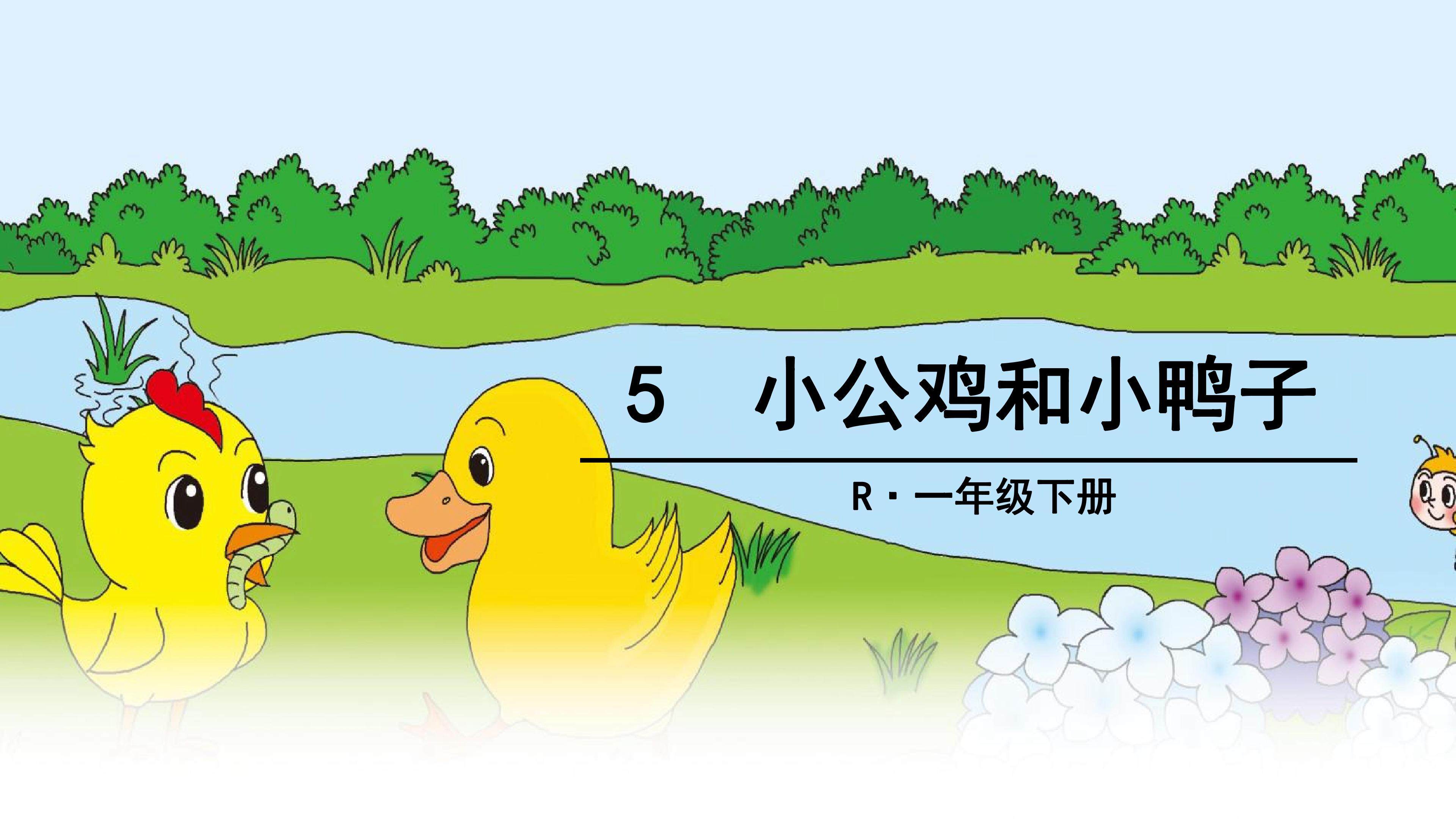 5.小公鸡和小鸭子