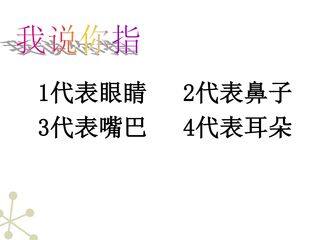西藏洋思----神经系统的组成
