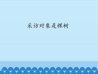 采访对象是棵树_课件1