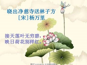 29 * 湖心亭看雪