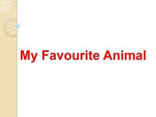 My Favourite Animal_课件1