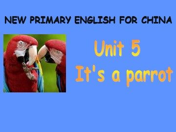 Unit 5  It's a parrot.