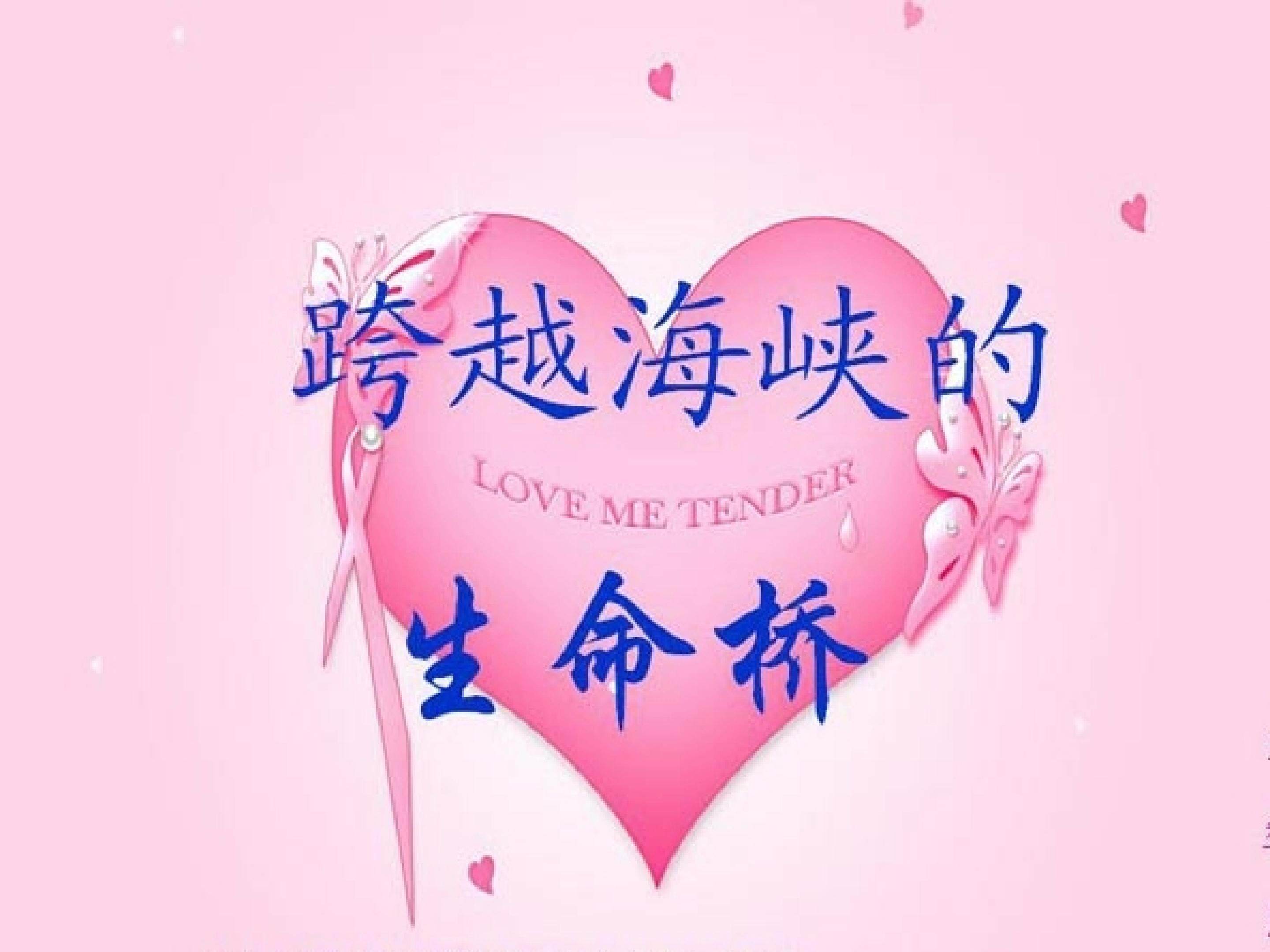 跨越海峡的生命明桥