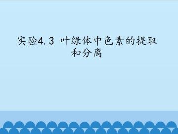 实验4.3 叶绿体中色素的提取和分离_课件1