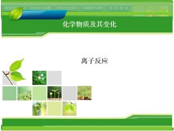 离子反应_课件19