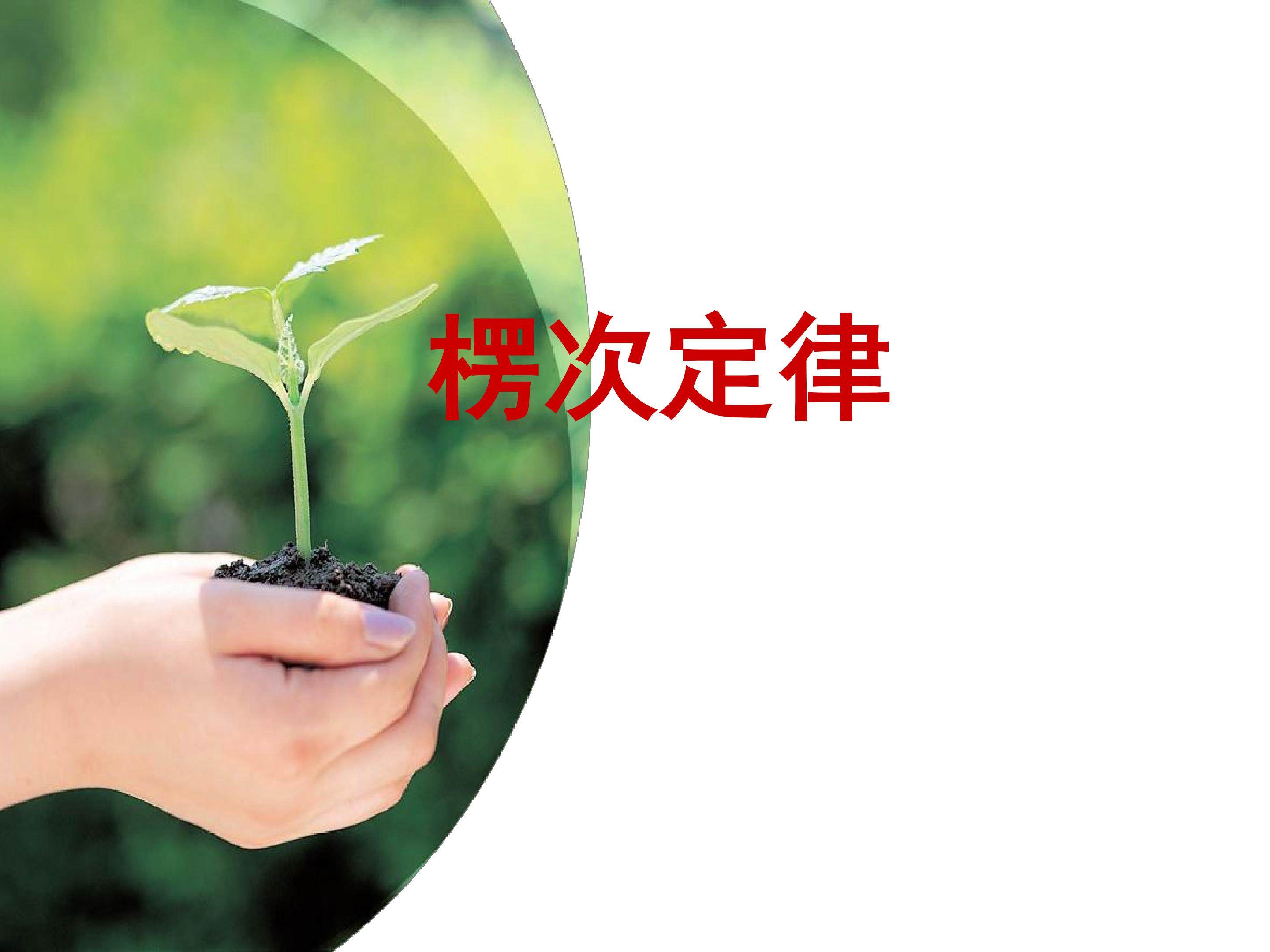 楞次定律